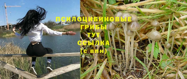 COCAINE Богородск
