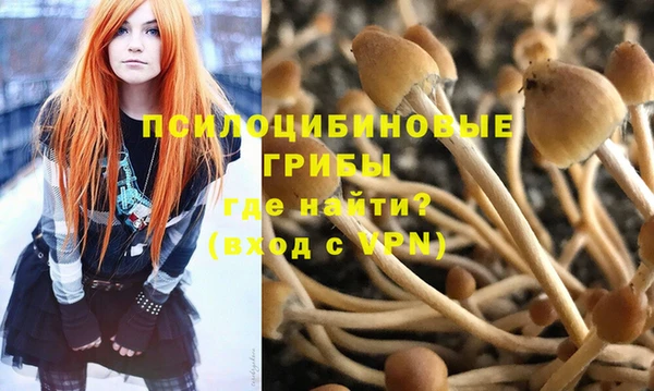 героин Богородицк