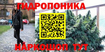 молекула духа Будённовск