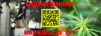 твердый Бийск