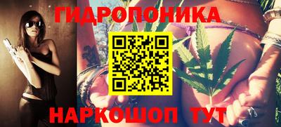 твердый Бийск