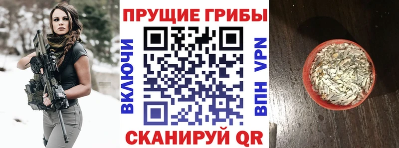 гидра вход  купить   Верхняя Пышма  Псилоцибиновые грибы Psilocybine cubensis 