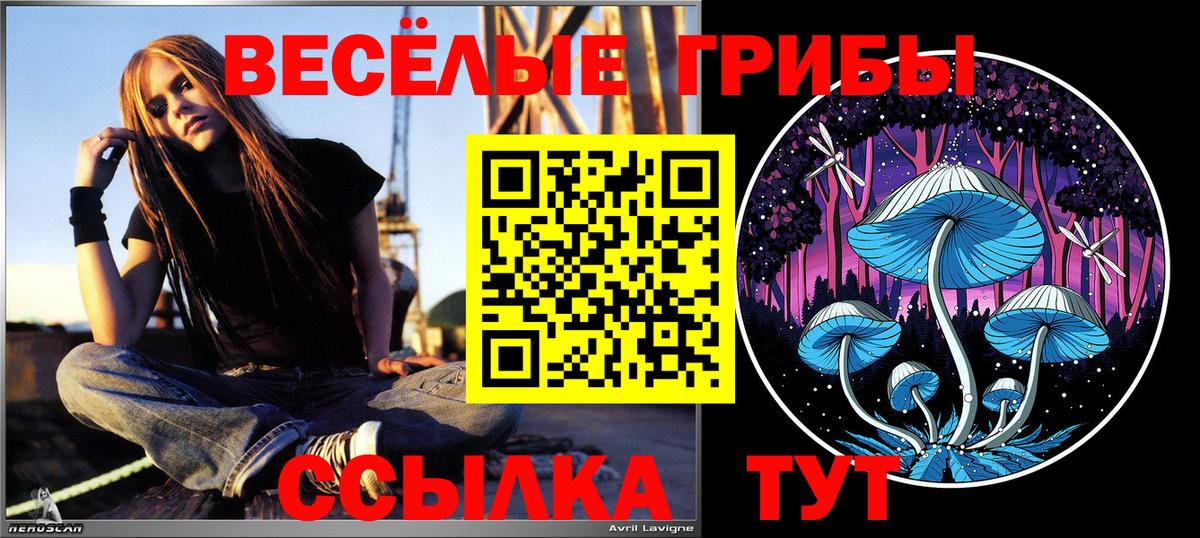 Галлюциногенные грибы прущие грибы Верхняя Пышма