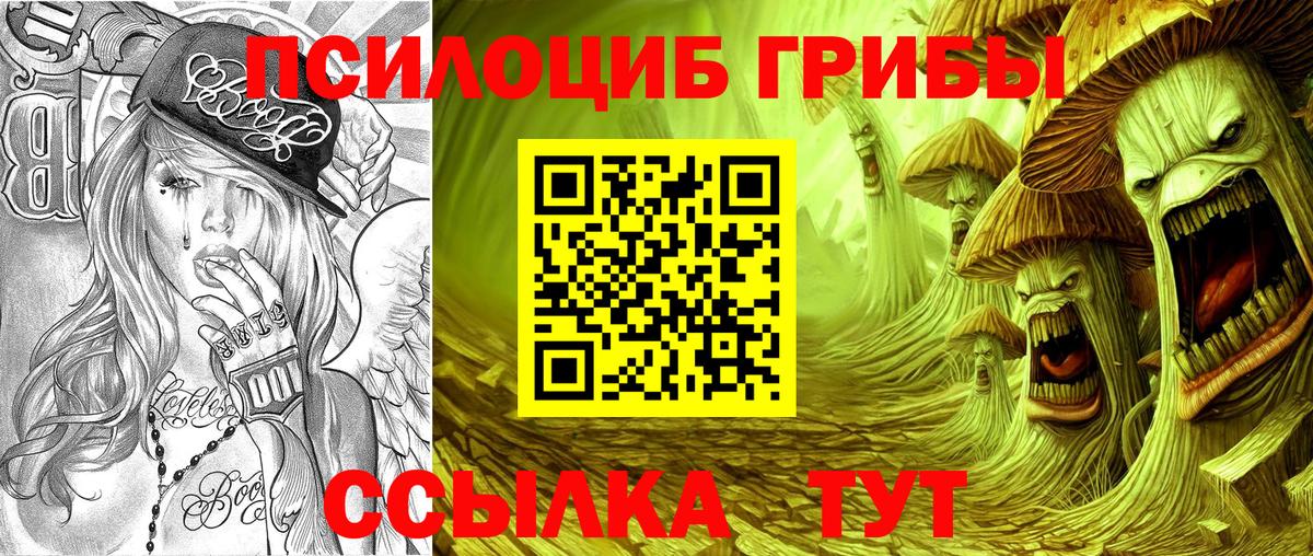 Верхняя Пышма  Галлюциногенные грибы Cubensis  Вход с VPN 